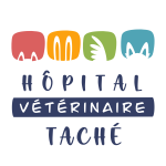 Hôpital vétérinaire Taché