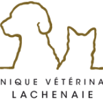 Clinique vétérinaire de Lachenaie inc.