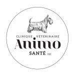 Clinique vétérinaire Animo Santé