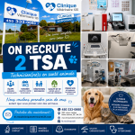 Clinique Vétérinaire 125